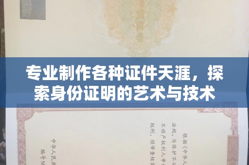 南通专业制作各种证件天涯，探索身份证明的艺术与技术