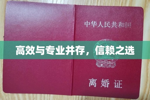 南通高效与专业并存，信赖之选