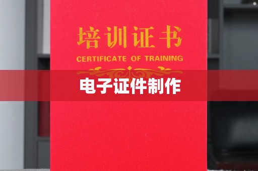 南通电子证件制作